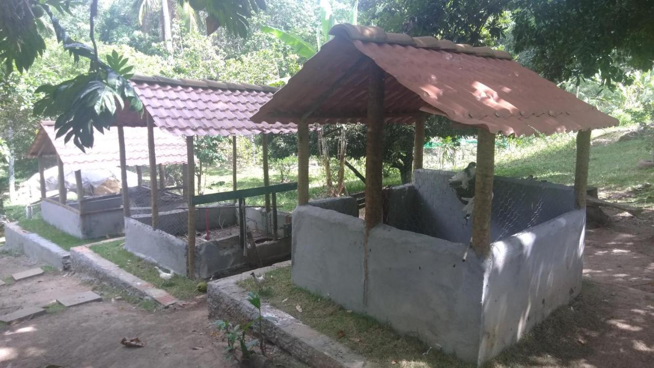 Hotel Fazenda Agua Da Prata Agri Turismo Camacari Luaran gambar